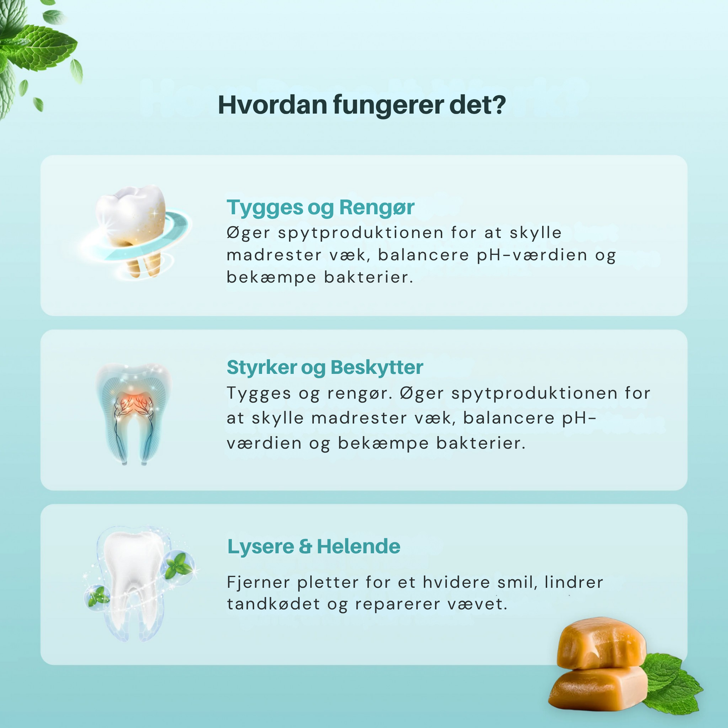 Mintara™ | Den Ultimative Tand-Opgradering