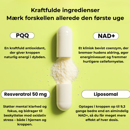 Cata-Kor | Nøglen til forynget hud, energi og fokus
