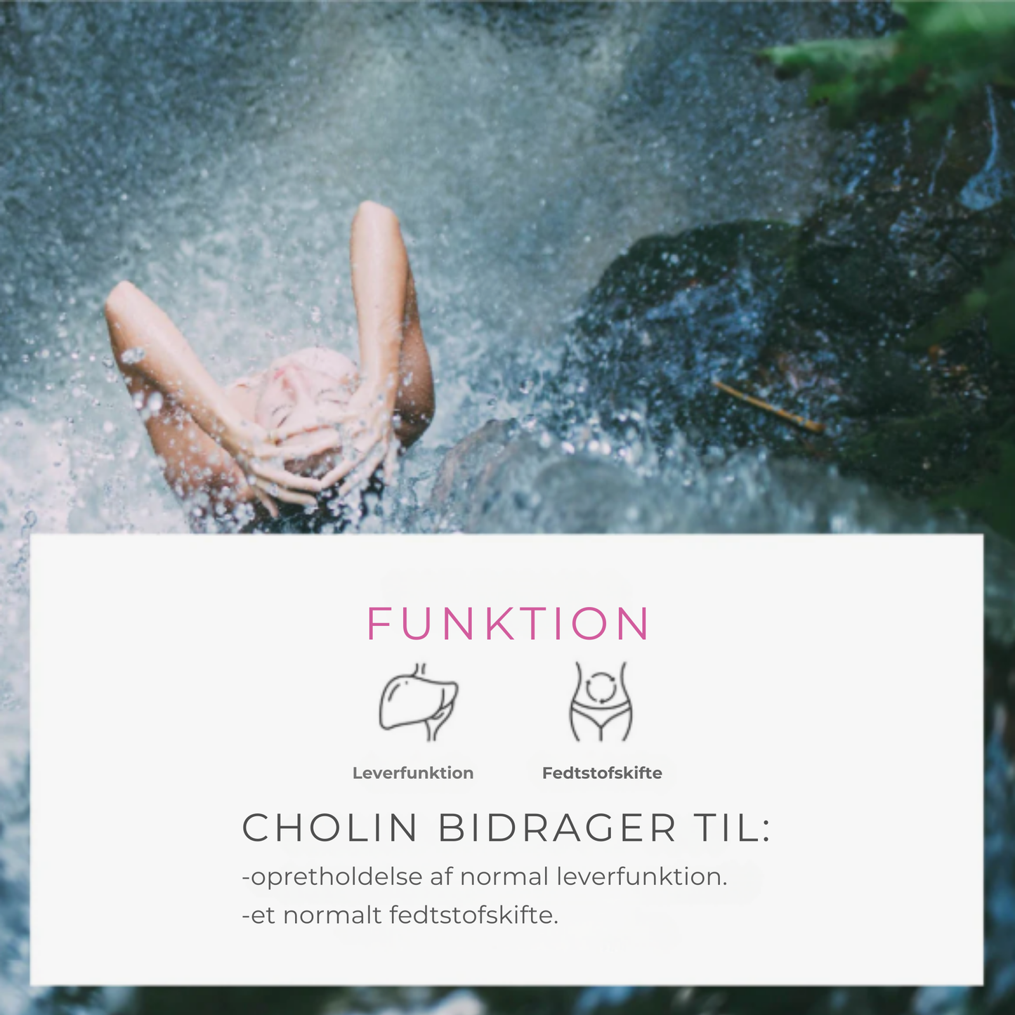 Vital Flush | Din Levers Bedste Ven