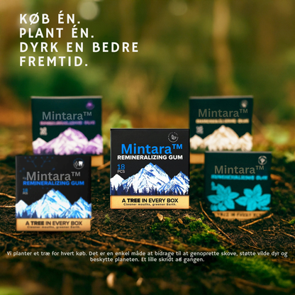 Mintara™ | Den Ultimative Tand-Opgradering