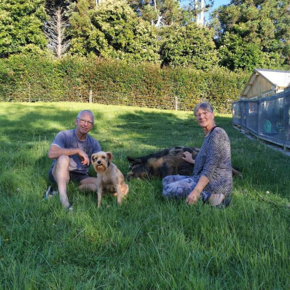 <h2><strong>Tro ikke bare på os, se hvad andre siger!</strong></h2>