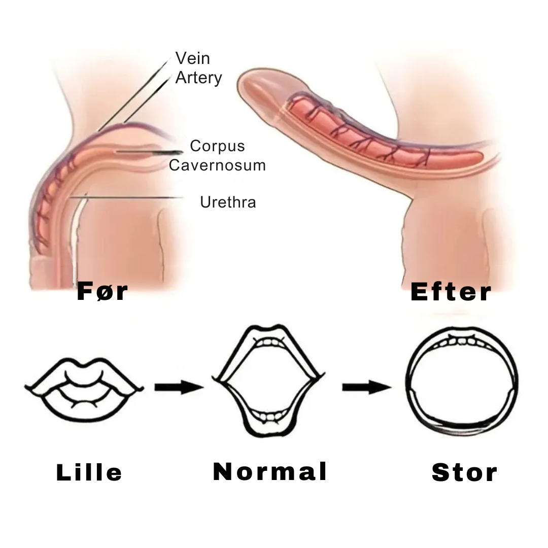 MaxErect™ Forstørrelsescreme | Forstør din størrelse med op til 4,5 cm på kun 7 dage!